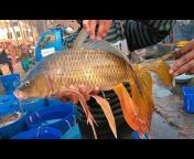 Asian Fish Market