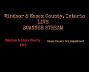 Everything Windsor u0026 Essex County
