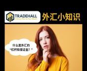 Tradehall Limited
