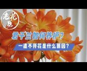 老花医Fun with Plants in China