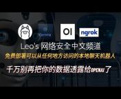 Leo‘s 黑客和网络安全中文频道