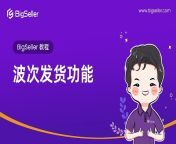 BigSeller_Chinese