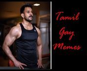 Tamil gay memes