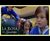La Rosa de Guadalupe