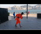 Shaolin Kung Fu QiFeng
