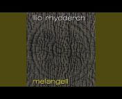 Llio Rhydderch - Topic