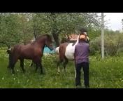 KONJI*HORSES