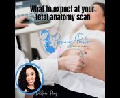 Pregnancy Pearls with Dr. Plenty