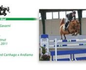 15.tVDL Gavarni – Mare – Chestnut – Born 2011 – Height: MLevel Competing at: 1.40m.nnMylord Carthago x AndiamonnVDL Gavarni is a daughter of top Grand prix jumper Mylord Carthago crossed with the Grand Prix stallion Andiamo. VDL Gavarni is competing successfully at 1.40m level. She is a mare that has a light canter and good blood. She is very quick in front leg, is good careful and has good scope. VDL Gavarni is your new competitive Low, Medium are also High Junior/Amateur horse, but a
