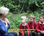 SSCE Cymru - Service children experiences from ssce