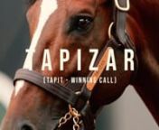 Breeders&#39; Cup Champion and 3x graded stakes winner Tapizar stands at Gainesway Farm. The son of Tapit produced Champion filly and 5x GI winner Monomoy Girl.