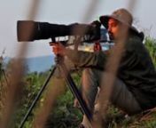 Here&#39;s a short glimpse of &#39;My life as a wildlife photographer/film-maker&#39; - compiled with footage and photographs gathered over the last several years by Chinmay Rane.