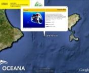 Oceana muestras las montañas submarinas del Canal de Ibiza, prácticamente inexploradas, de forma virtual. nhttp://eu.oceana.org/esnhttps://vimeo.com/61342109