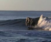 Continuing our “plausible unreality” trend, we created a surfing elephant for ACCENTURE and Director THIERRY POIRAUD. nnOne challenge here was to imbue our “lead” with the physical dynamics of a surfer riding waves without losing his true “elephantine” qualities of heaviness, slowness and movement.nnIntegrating these CG elements into the waves, foam, and spray of the filmed ocean elements required extra care and precision to achieve the reality and relaxed whimsy of this spot.nnCredi