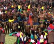 Zulu Dance, filmed at a cultural dance celebration in Southern Africa.nnThanks for watching!