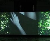 This installation is a triptych (three video projectors)along with 50 ceramic leaves filled with water. The Greek myth of Acteo is about a young hunter wandering in the forest with his dogs untill he inconveniently meets the goddessArtemis bathering naked in a fountain. Artemis punishes the young hunter for his presumptuousness by transforming him into a stag. Acteo dies slaughtered by his dogs. Here some of the leaves start their metamorphoses with antlers outgrowths. The viewer of this ins