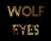 WOLF EYES /// CRUCIAL TAUNT /// DJ MAGASnPARLIAMENT TAPES WOLF EYES LIVE TAPE RELEASE PARTYn1/15/15 10PMnTHE OWL, LS, CHI