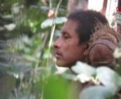 Extraordinary new footage showing some of the most threatened uncontacted peoples in the world has been released by an indigenous group in Brazil.nn--nnNotes to Editors: The footage is being released by Mídia Índia, an indigenous film-making association. It was shown on Brazil’s Globo TV on July 21, 2019, and features in the documentary, “Ka’a Zar Ukize Wá – Forest Keepers in Danger,” by Mídia Índia. The 13-minute short film is a call to action for the perilous situation of the un