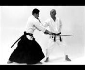 Here you can watch all the basics, techniques and theories of Wado-ryu.nnWado-ryu was created by consoidation of Japanese traditional Jujutsu and Karate. It was established by master OTSUKA Hironori and its spirits and techniques were transferred to the 2nd Soke. By these two DVD, 2nd Soke shows and explains all its system which covers basic hit and kick, meaning/purpose of Kata and Kumite so that those valuable knowledge could be transfered to the further generations.nn n1. Master OTSUKA Hiro