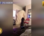 If you have a dog, try this trick that&#39;s going viral on social media. Get a large blanket or beach towel. Hold it up while the dog watches. As you drop the towel, hide behind a corner so the dog thinks you disappeared. Make sure you video the experiment and post it online! nnSource: https://mashable.com/2018/06/22/dog-towel-trick/?utm_cid=hp-n-1#tFTYiTD7fkqt