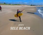 a little drone edit i did for my friend mona mai at sele beach in Notway.