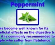 If There any gas problems you can&#39;t handle check out our brand http://bit.ly/2ssfd4bnnTop Foods That Reduce Fart ( bloating &amp; Flatulence ) and Flat BellynnnPeppermintnnIt has become well known for its beneficial effects on the digestive tract, and it is commonly recommended to people who suffer from flatulence.nnnAmaranthnIt is highly nutritious, and due to its high igestibility score, it is one of the least gas forming grains.nnGingernGinger contains zingibain, a protein digestive enzyme, a
