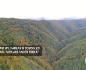 2018, Romania - Domogled - Valea Cernei National ParknWhile primary forests have gradually disappeared from the European natural heritage, Romania still have some great forests formed after the last ice age. They remained untouched till recently. Political incompetence and corporate greed puts these forests under immediate threat. Only about 10% of all primary forests were included in the national catalog for the virgin forests. The public funds allocated years ago to map and preserve these fore