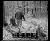 1935., USAnn[1935 - Oddities:Mountain Lion Hunts Rabbits For Its Owner]n02:09:59Cougar on leash out of shed, pulling man w/ rifle.CU cougar.Manwalking alongpath.n02:10:23Small rabbit runs.n02:10:27Man kneeling beside cougar laying on ground.Rabbit runs, intercut w/ cougarCats; Oddities; 1935; Pets;