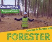 Get to know a day-in-the-life of Forester Courtney Pink of SFM Asset Management, who works to grow and produce timber, while sustainably managing and protecting the environment, including trees, plants and animals, waterways, and Indigenous Australian cultural sites. nnExplore more careers in forestry and wood processing by watching other videos in ForestLearning&#39;s ForestVR Careers in Forests and Wood series.nnThis video has been produced by ForestLearning, an iniative of Forest and Wood Product
