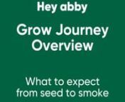 Get ready for a complete seed-to-smoke journey as we guide you through the process of growing cannabis at home using Hey abby&#39;s automated, hydroponic growing system. This video is packed with invaluable tips &amp; tricks for new growers! We&#39;ll cover every stage of cannabis growth, and reveal the secrets of harnessing hydroponics for healthier plants. nDon&#39;t miss out – subscribe, hit that like button, and become part of our thriving cannabis-growing community for more exciting content!nnExplore