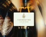 The first release of our Terrestre, a line of Super Tuscan wines tied to the great terroirs of our region, turned out to be a fantastic success, and received an award with gold medals But, more encouraging to me were the impressions of the people who tasted the wine during the visits in my cellar.nnTheir comments, the amazement I could read in their eyes while they sipped it, were the confirmation we are going in the right direction. So we have doubled our efforts to produce an exciting Terrestr