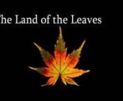 All those fallen leaves on a brisk autumn day? They&#39;re trying to tell you something.nnMade from many pressed leaves, patience and some thistles, this film is a message from the plant kingdom.nnnMusic by bj beilke