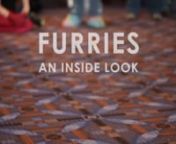 This documentary gives an inside perspective on the strange and interesting subculture known as the furry fandom.Filmed at Midwest Furfest 2010, a major furry convention, the fandom is explained by furries in their own words.nnThis project was both a personal and an academic undertaking.The concept and production was my own, but I also got college credit for producing it, as an independent study at Bradley University.nn--- NOTICE --- Any comments posted plugging your website, art page, etc.