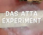 Was kann das ATTA Experiment in Heidelberg und was wird dafür benötigt? Mehr Infos unter https://www.synqs.org/project/artta/.