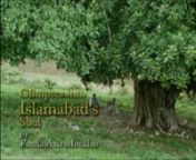 This is the presentation given by Fauzia Minallah on the launch of her book &#39;Glimpses into Islamabad&#39;s Soul&#39; at the National Art Gallery, Islamabad in 2007.nNeed to preserve natural heritage stressed : Glimpses into Islamabad’s Soul launchednBy Jamal ShahidnnISLAMABAD, Oct 25, 2007: There are hundreds of years old architectural marvels and natural heritage, like the banyan trees in our beautiful Islamabad, awaiting reflection. These are our heritage, holding clues to the past, adding richness