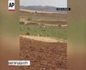 Two amateur videos emerged purportedly showing two Palestinians being shot, one killed and one wounded, while not posing any apparent immediate threat to soldiers.