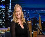 Amy Schumer revealed she has been diagnosed with Cushing syndrome following social media comments about her recent appearance. Schumer revealed the news in journalist Jessica Yellin’s newsletter &#39;News Not Noise.&#39; The actress said, &#92;