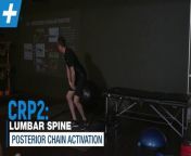 A new exercise for good health and fitness and wellness and healthy lifestyle and fitness and wellness and healthy lifestyle and fitness and wellness and Activating the posterior chain for low back pain _ Tim Keeley _ Physio REHAB