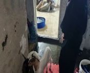 8 children and family homeless in Sharjah after rain from rain sex movies 2019
