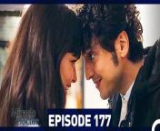 Miracle Doctor Episode 177 &#60;br/&#62;&#60;br/&#62;Ali is the son of a poor family who grew up in a provincial city. Due to his autism and savant syndrome, he has been constantly excluded and marginalized. Ali has difficulty communicating, and has two friends in his life: His brother and his rabbit. Ali loses both of them and now has only one wish: Saving people. After his brother&#39;s death, Ali is disowned by his father and grows up in an orphanage.Dr Adil discovers that Ali has tremendous medical skills due to savant syndrome and takes care of him. After attending medical school and graduating at the top of his class, Ali starts working as an assistant surgeon at the hospital where Dr Adil is the head physician. Although some people in the hospital administration say that Ali is not suitable for the job due to his condition, Dr Adil stands behind Ali and gets him hired. Ali will change everyone around him during his time at the hospital&#60;br/&#62;&#60;br/&#62;CAST: Taner Olmez, Onur Tuna, Sinem Unsal, Hayal Koseoglu, Reha Ozcan, Zerrin Tekindor&#60;br/&#62;&#60;br/&#62;PRODUCTION: MF YAPIM&#60;br/&#62;PRODUCER: ASENA BULBULOGLU&#60;br/&#62;DIRECTOR: YAGIZ ALP AKAYDIN&#60;br/&#62;SCRIPT: PINAR BULUT &amp; ONUR KORALP