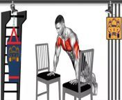 The Best 5 Minutes Home Workout (Chair Exercises) - The Best Full Body Chair Workout:&#60;br/&#62;Are chair workouts effective?&#60;br/&#62;Chair exercises may help improve a person&#39;s quality of life, flexibility, and mobility. There are a variety of chair exercises that can focus on different areas of the body. People should ensure not to overwork themselves. They should also warm up and cool down before and after the exercise.&#60;br/&#62;&#60;br/&#62;Are chair workouts effective?&#60;br/&#62;What are the benefits of chair exercise?&#60;br/&#62;What muscles do chair exercises work?&#60;br/&#62;Does the 28 day chair workout work?&#60;br/&#62;&#60;br/&#62;#bodybuilding #workout #fitness #exercises #motivation #sports #gym #weightloss #cardio #abs #muscle #fitnessmotivation #youtube #triceps #biceps
