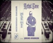 Lethal Dose are a musical group with their Punk/Oi!/Hardcore inspired sound born in Texas, USA!&#60;br/&#62;----------------------------------------------&#60;br/&#62;Album:&#60;br/&#62;Promo Cassette&#60;br/&#62;Band:&#60;br/&#62;Lethal Dose&#60;br/&#62;Released:&#60;br/&#62;2019&#60;br/&#62;Style:&#60;br/&#62;Punk/Oi!/Hardcore&#60;br/&#62;Track list:&#60;br/&#62;1 Blood On The Streets&#60;br/&#62;2 Entertainment&#60;br/&#62;----------------------------------------------&#60;br/&#62;#bandmusic #videomusic #audiomusic
