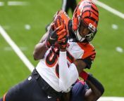 Predictions for NFL Free Agency and Franchise Tag Players from bengal dam