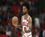 Bulls Face The Absence of Scoring Presence Coby White from and bull sex video