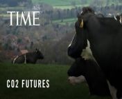 While estimates vary for livestock’s climate impact—ranging anywhere from 11.1% to nearly 20% of global greenhouse gas emissions—cows, in particular, have been vilified as the problem because of their methane-laden burps and farts. Cows are not the problem. It’s the way they’re managed and farmed that is creating a climate problem, says Peter Byck, a professor of practice at Arizona State University’s sustainability school.