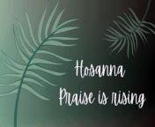 Hosanna Praise is Rising | Lyric Video | Palm Sunday from mwajuma komwe lyrics