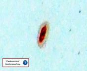 Incredible object caught near Jupiter, which seems to have a core shaped like the number &#92;