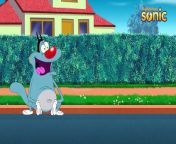 Oggy and the Cockroaches Season 04 Hindi Episode 44 Little Tom Oggy from oggy c