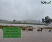 The Mayne family measured 182mm of rain on Friday and Saturday at their Texas Angus property. Video supplied by Wendy Mayne
