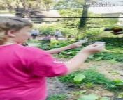 Get ready for a wave of laughter in this incredible video! Witness a heartwarming family outing at the zoo take a hilarious turn. Prepare to be entertained as some mischievous birds decide to crash the birdseed party, causing one of the kids to take a comical tumble. This must-see clip is a reminder that sometimes, even the simplest interactions with nature can lead to unforgettable moments.&#60;br/&#62;&#60;br/&#62;Video ID: WGA140893&#60;br/&#62;&#60;br/&#62;#feederfrenzy #fowlplay #zoofail #funnykids #familyfun #zoolife #birdsofinstagram #animals #wildlife #hilarious #aww #epicfail #unexpected #caughtoncamera #preciousmoments #viral #incredible #mustsee #wholesome #loveyourfamily&#60;br/&#62;
